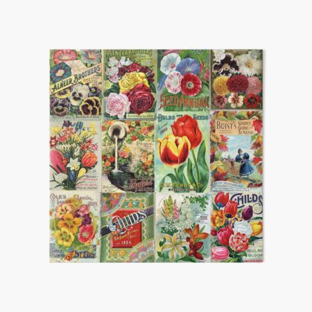 Vintage Flower Seed Packet Illustrations 1 Mosaic Art Board Print for Sale  by Peggy Collins