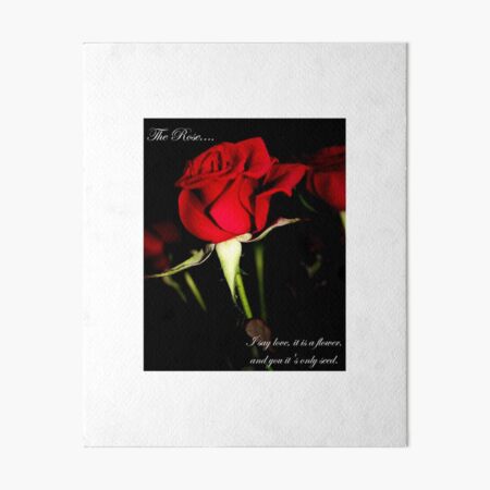 The Rose Art Board Print