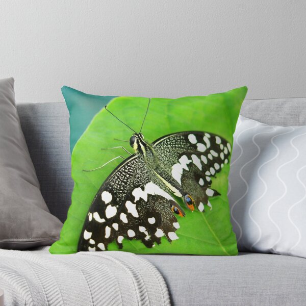 Item preview, Spotted Butterfly designed and sold by Amy McDaniel.