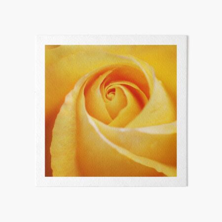 perfection Art Board Print