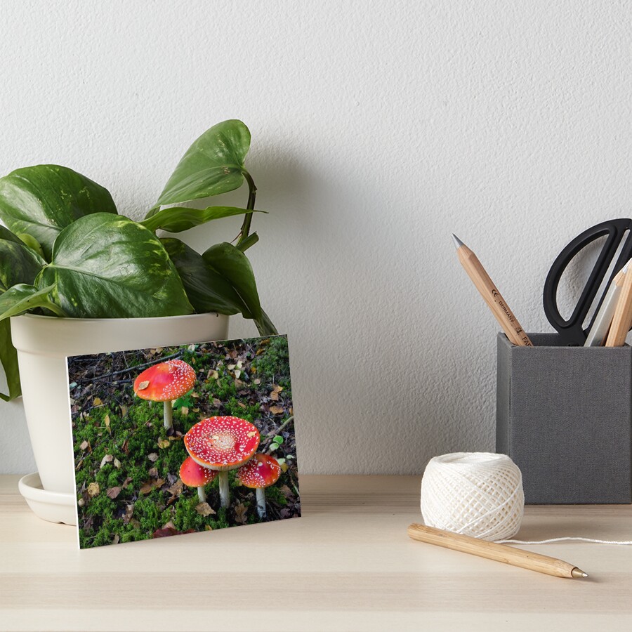 Poisonous beauties Art Board Print