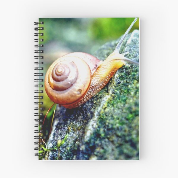 Item preview, Garden Snail designed and sold by Amy McDaniel.