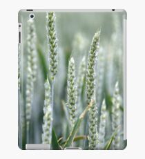 Grain iPad Case/Skin