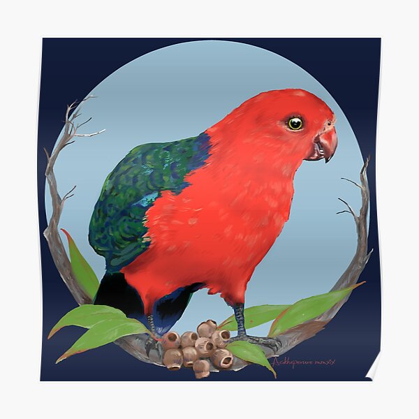 King Parrot digital oil Poster