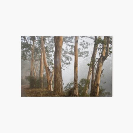 Item preview, Karri Trees in the Early Morning Mist designed and sold by pennyswork.