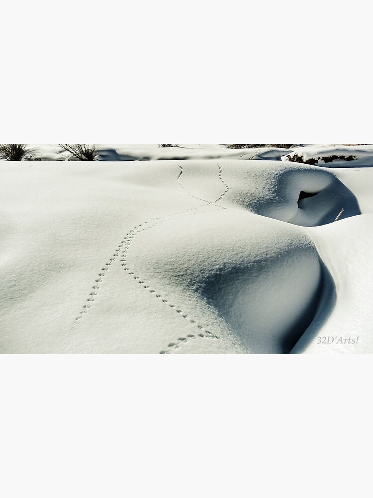 Fresh Tracks in the North Star Nature Preserve Snow by 32DARTS