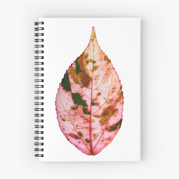 Item preview, single Autumn leaf designed and sold by fardad.