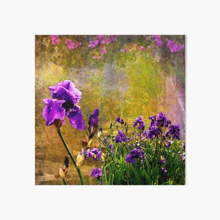 Iris Garden Art Board Print