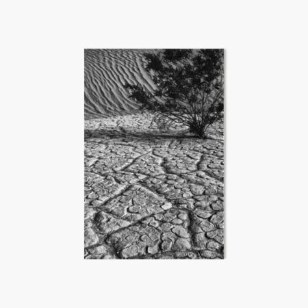 Item preview, Life in  Death Valley designed and sold by Globalphotos.