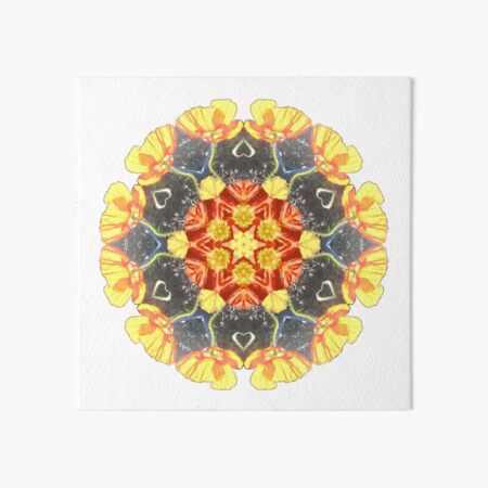 Ranunculus Love Mandala Art Board Print