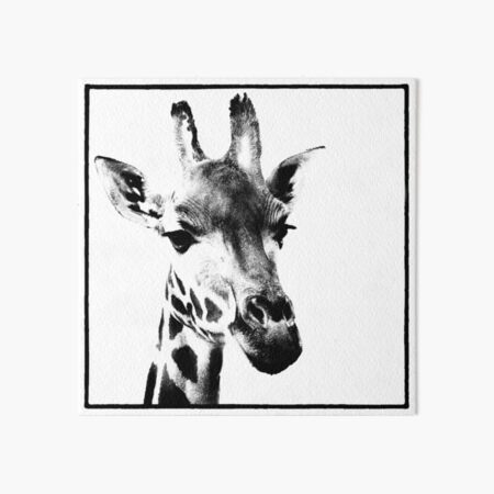 Gentle Giraffe Art Board Print