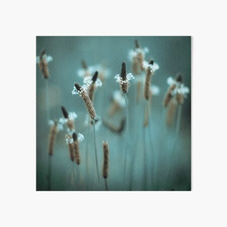 ...sparklers... Art Board Print