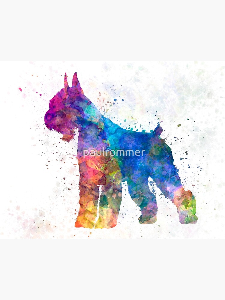 skyline giant schnauzers