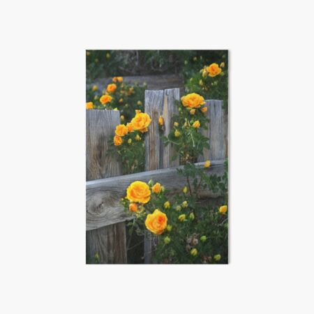 Renegade Roses Art Board Print
