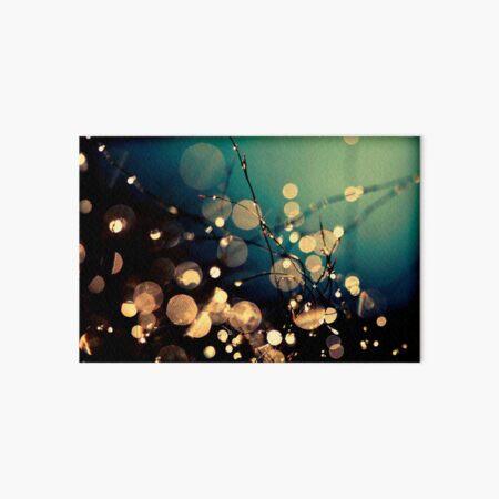 Fairies in my garden Art Board Print