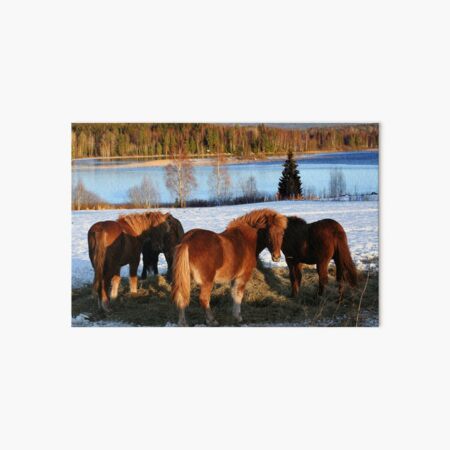 Feeding Time Art Board Print