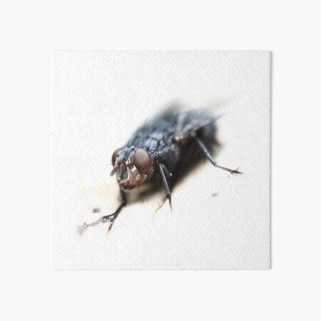 Just Dropped in... Art Board Print