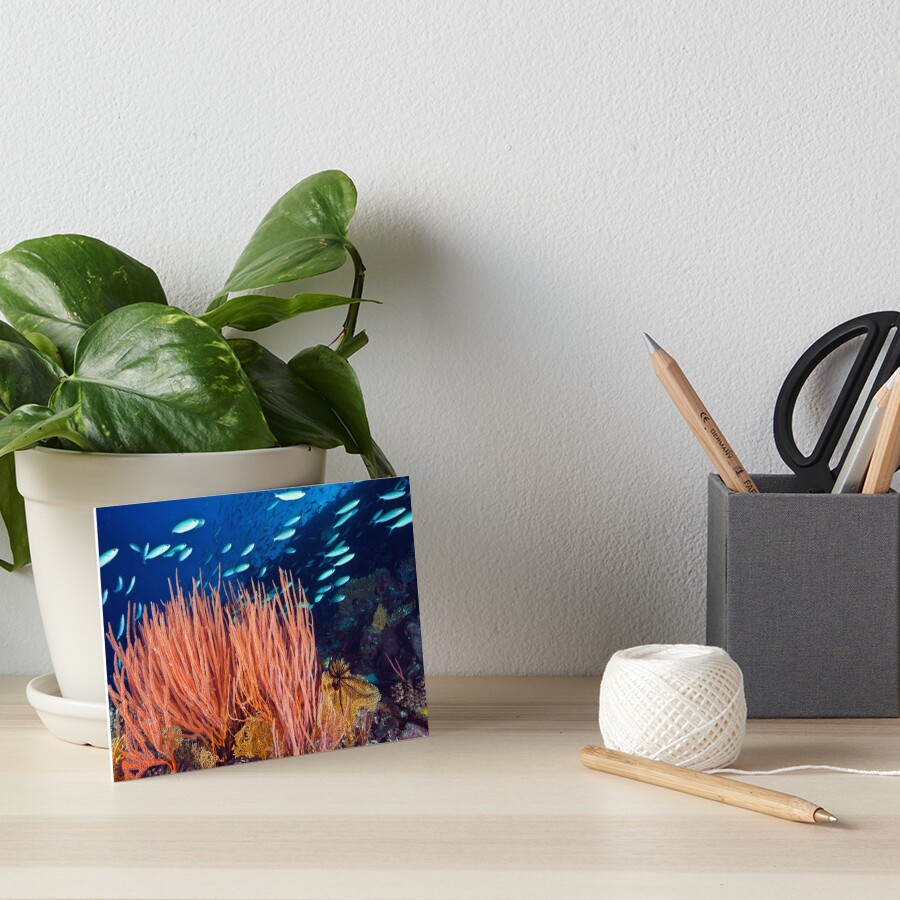 Wheeler Reef garden Art Board Print