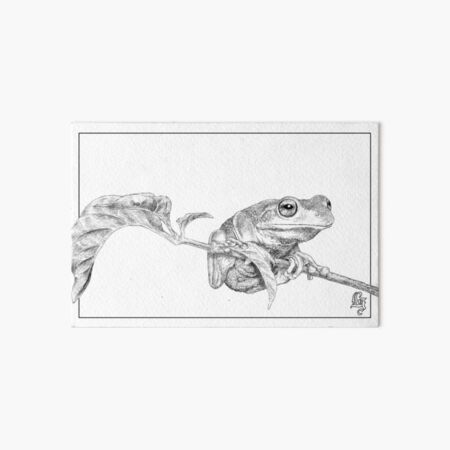 Green tree frog Art Board Print