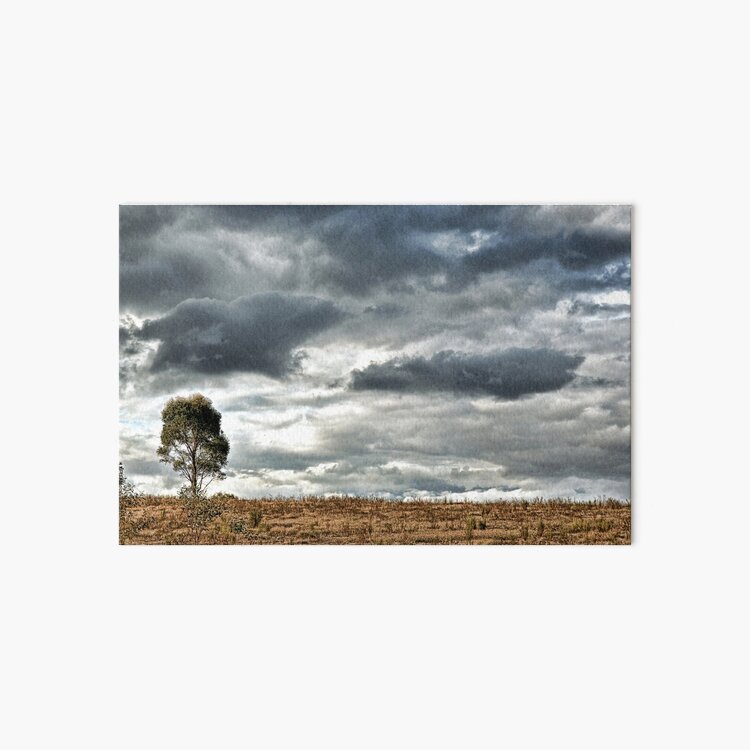 OneTree Hill Art Board Print