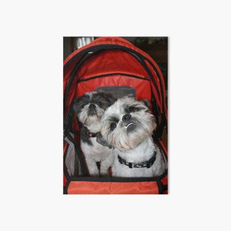 My best smile! Art Board Print