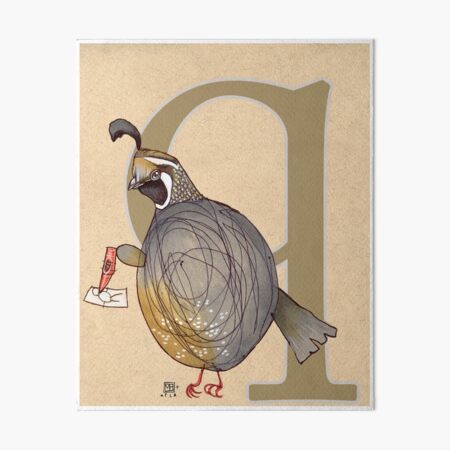 Q is for QUAIL Art Board Print