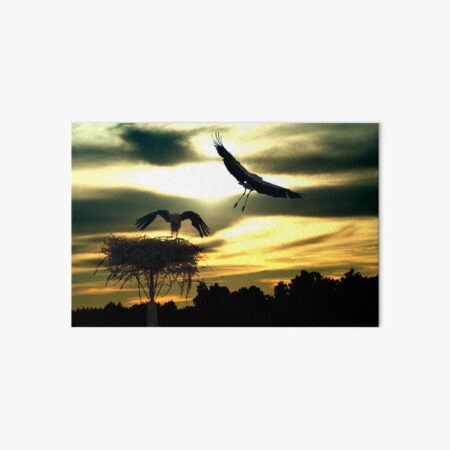 Sunset Art Board Print