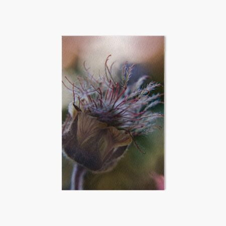 Marvelous (from wild flowers collection) Art Board Print