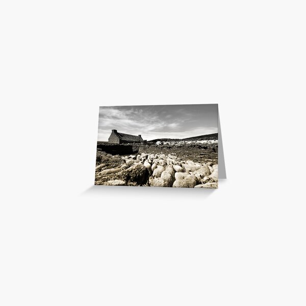 Gathering Greeting Card