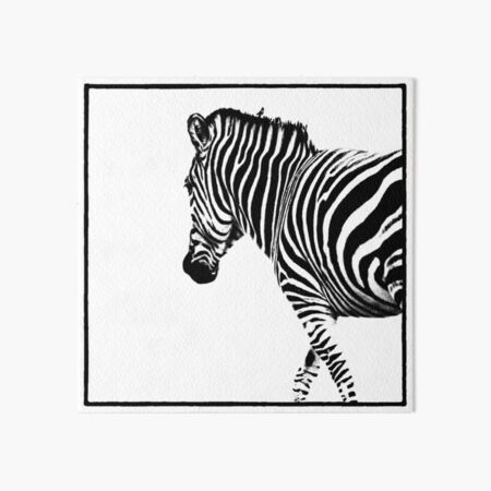 Zebra Art Board Print