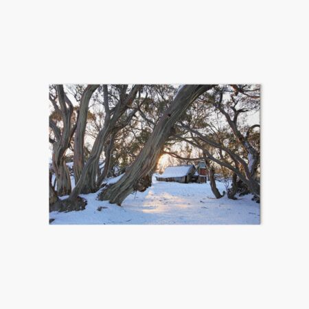 Wallace Hut Dawn, Falls Creek, Victoria, Australia Art Board Print