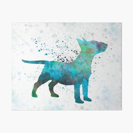 Miniatur-Bullterrier im Aquarell Galeriedruck