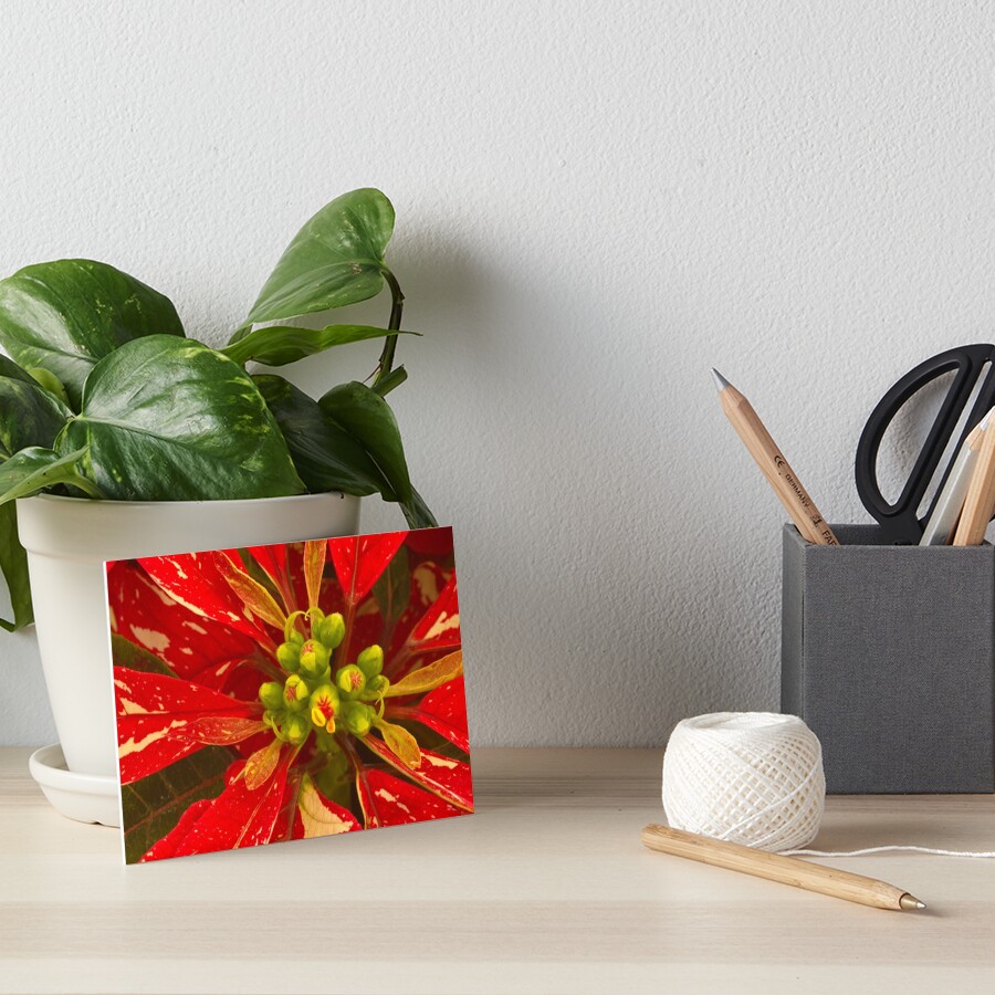 Item preview, Art Board Print designed and sold by nikongreg.