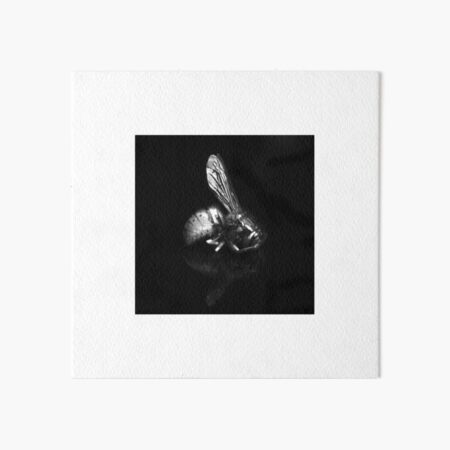 Dead Wasp Art Board Print