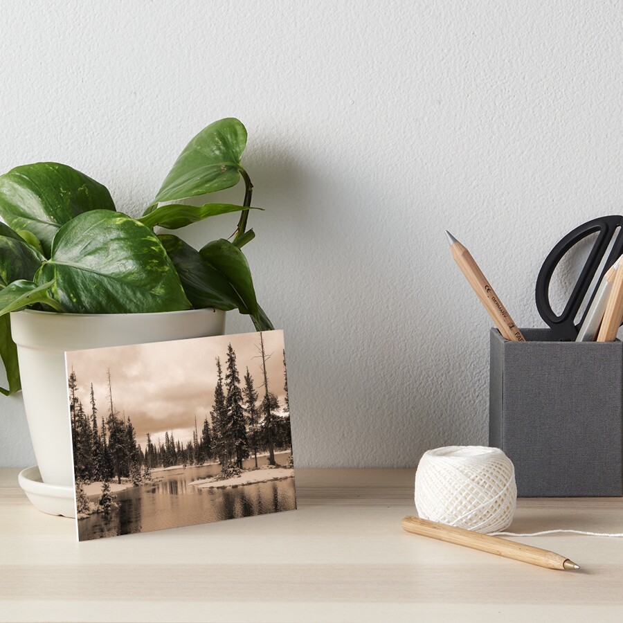Quiet Harmony Art Board Print