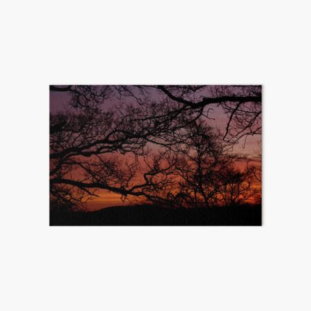 Sunset Branches Art Board Print