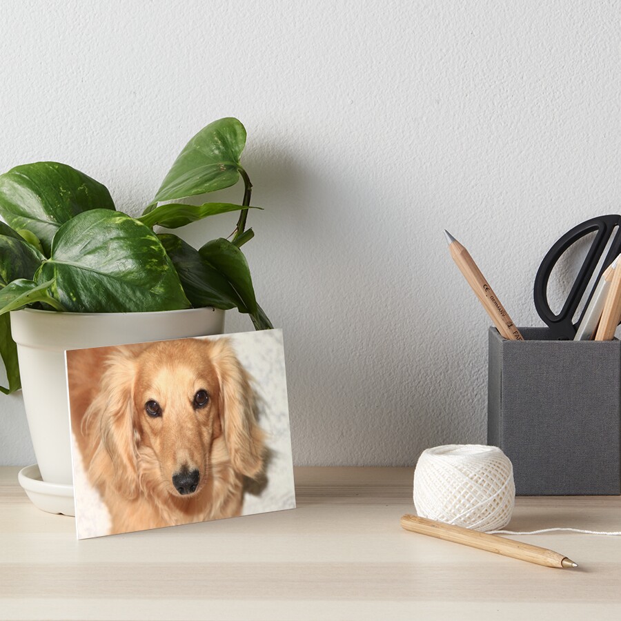 Item preview, Art Board Print designed and sold by Riversedge.