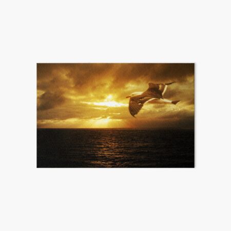 Dawn, Cape Du Couedic. K.I. Art Board Print