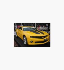 Bumblebee Art Board Print