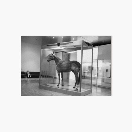 Item preview, Phar Lap designed and sold by Kellie Metcalf.