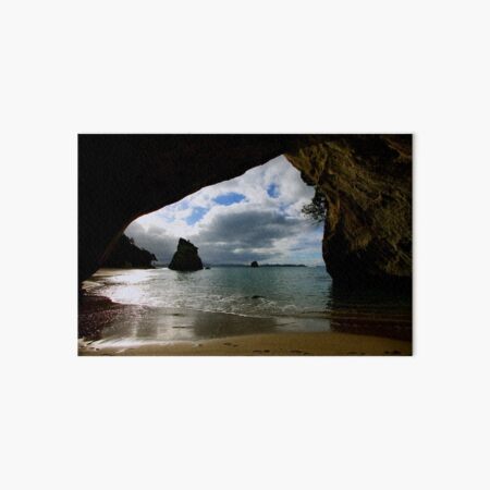 The Cove Art Board Print