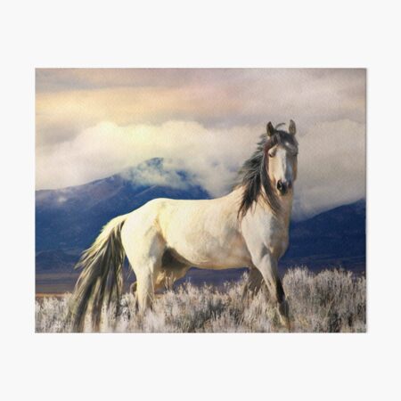 Phantom Art Board Print