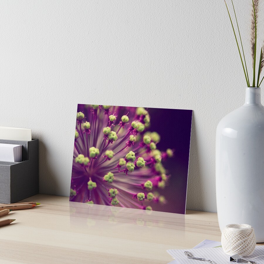 "Purple and Lime Green" Art Board Print by ameliakayphotog Redbubble
