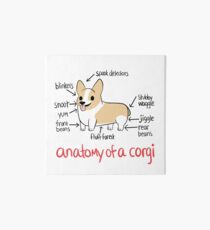 Anatomy of a Corgi Art Board Print