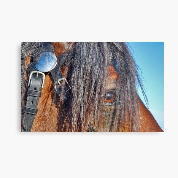 I have a crush on you........ Metal Print