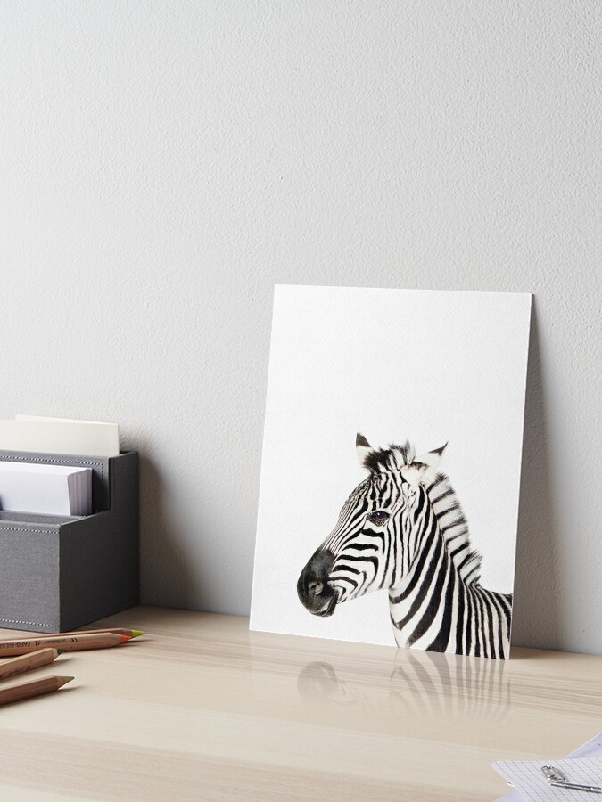 Zebra Print Nursery Animal Kids Room Modern Art Wall Decor