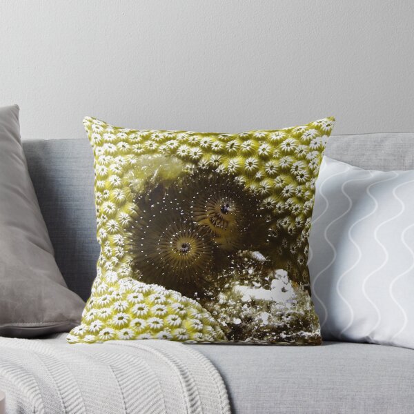 Item preview, Black Christmas Tree Worm designed and sold by Amy McDaniel.