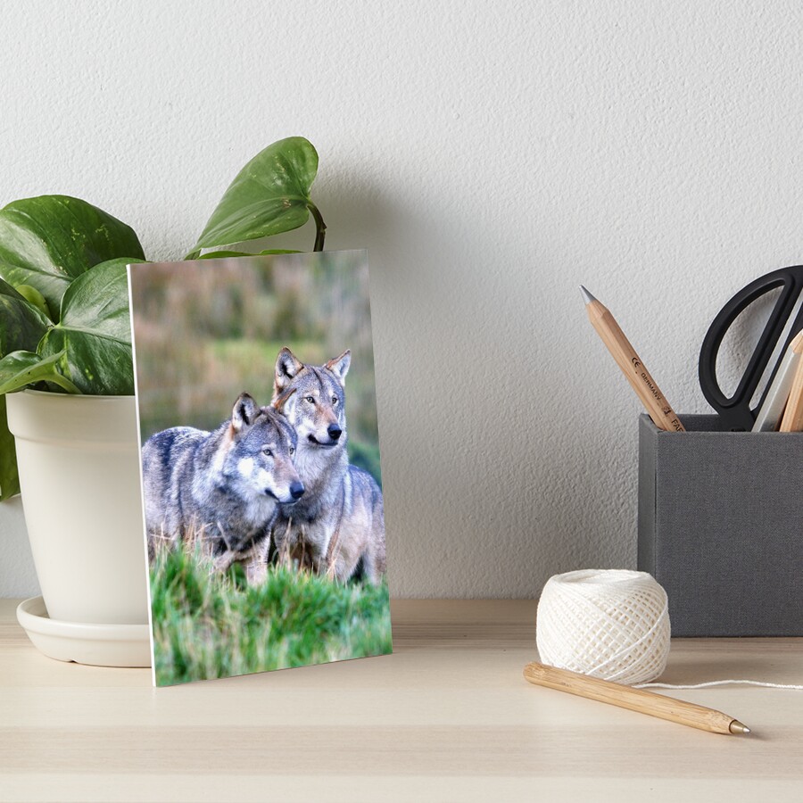 Item preview, Art Board Print designed and sold by dsargent.