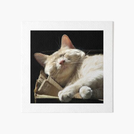 Funny Face Art Board Print