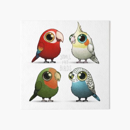 Small Fat Parrots Art Board Print